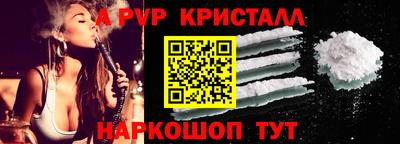 крисы Гай