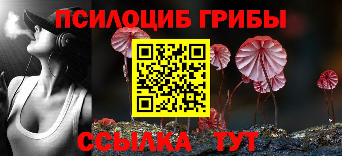 Галлюциногенные грибы MAGIC MUSHROOMS  Вход с VPN  Галлюциногенные грибы MAGIC MUSHROOMS  Буйнакск 