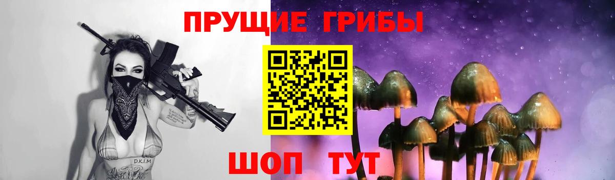 Псилоцибиновые грибы прущие грибы Буйнакск